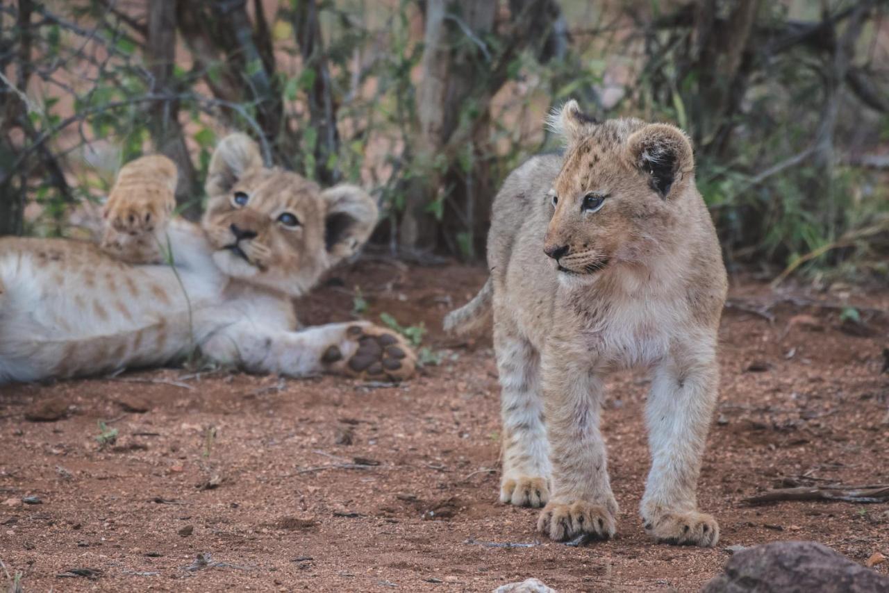 Ku Sungula Safari Lodge Заповедник Балуле Экстерьер фото