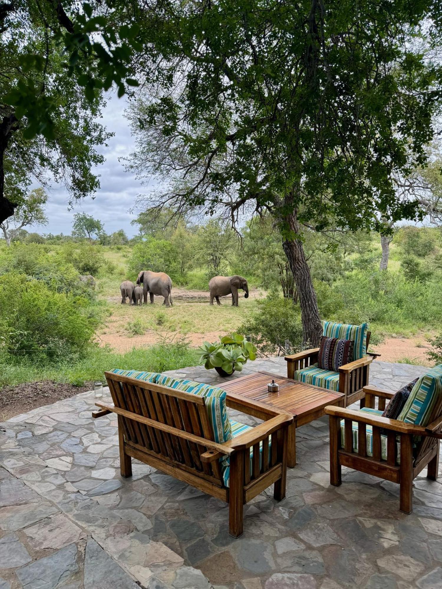 Ku Sungula Safari Lodge Заповедник Балуле Экстерьер фото