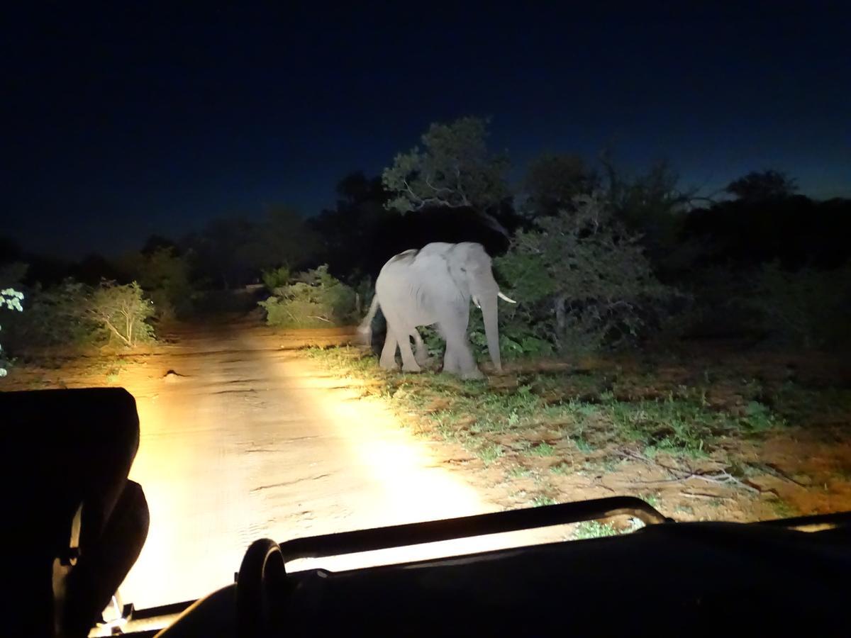 Ku Sungula Safari Lodge Заповедник Балуле Экстерьер фото