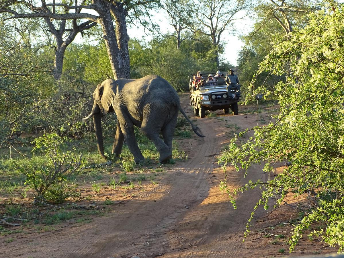 Ku Sungula Safari Lodge Заповедник Балуле Экстерьер фото