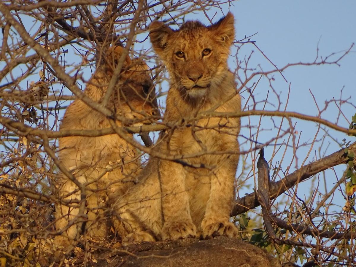 Ku Sungula Safari Lodge Заповедник Балуле Экстерьер фото