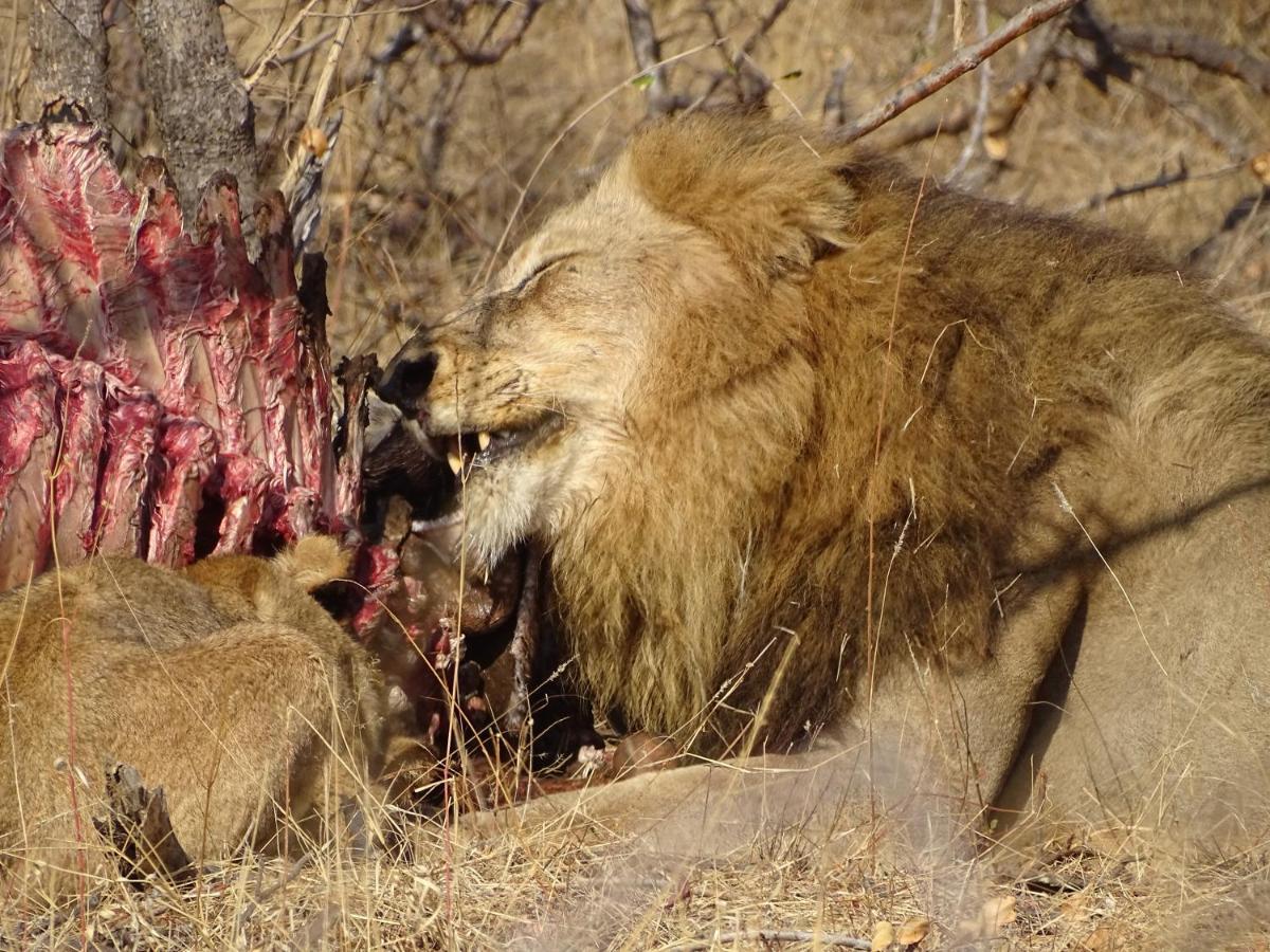 Ku Sungula Safari Lodge Заповедник Балуле Экстерьер фото